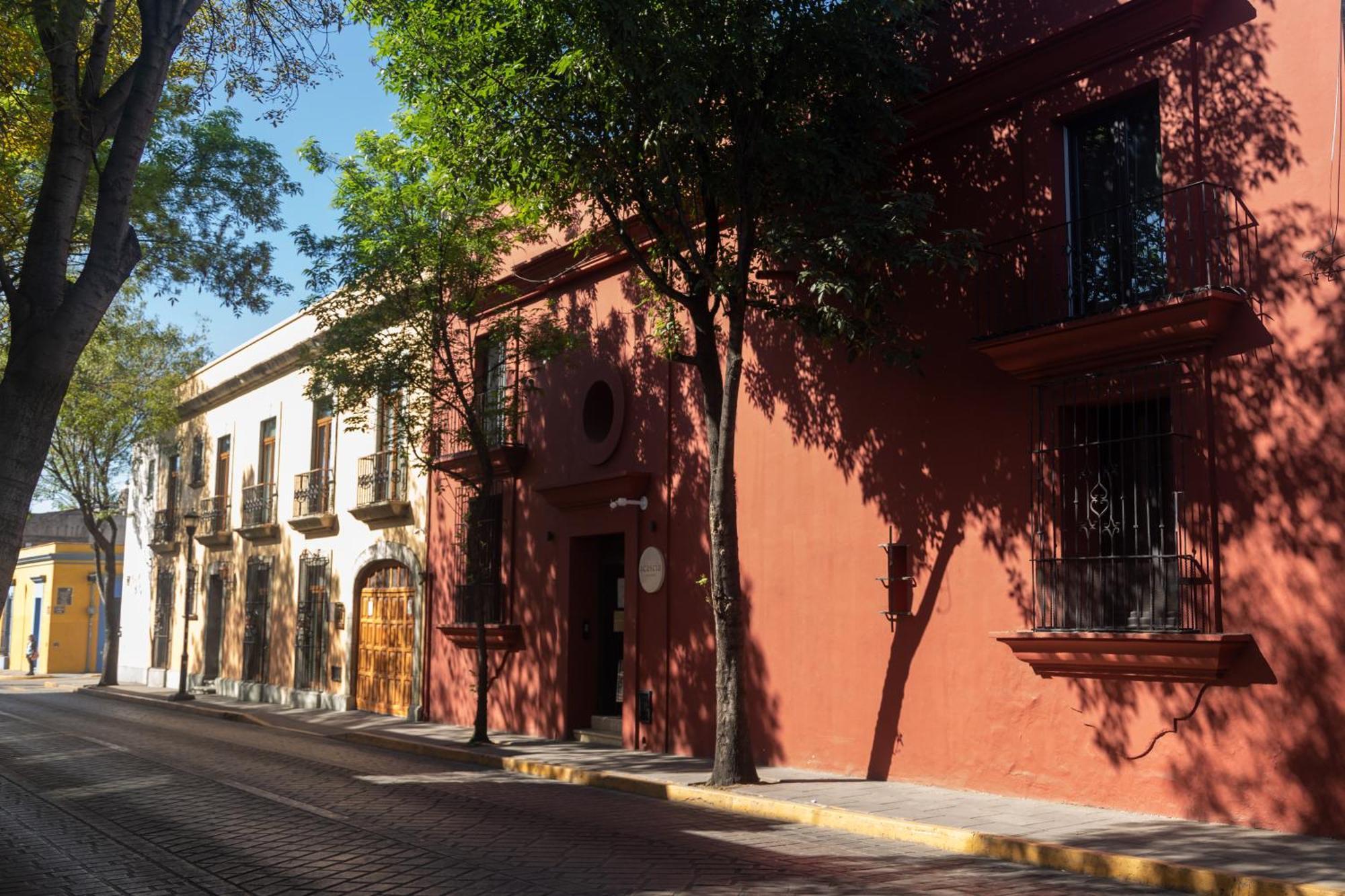 El Consuelo Hotel Oaxaca Eksteriør billede